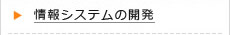 情報システムの開発